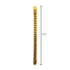Titan Gold Link Bracelet Edition A